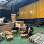 IMG-20250125-WA0000