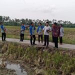 IMG-20250420-WA0016